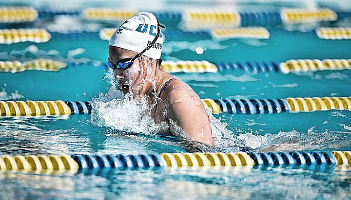 ucsb swimming and diving clipart